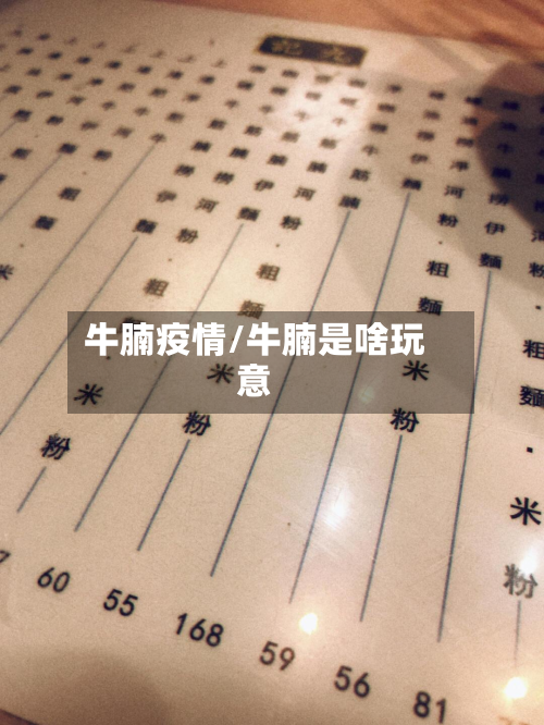 牛腩疫情/牛腩是啥玩意