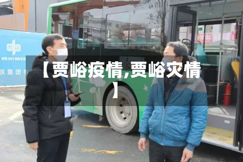 【贾峪疫情,贾峪灾情】