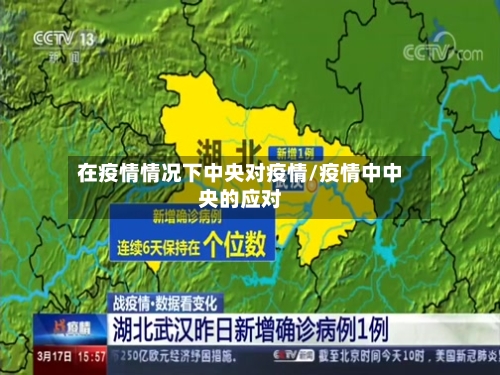 在疫情情况下中央对疫情/疫情中中央的应对