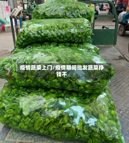 疫情蔬菜上门/疫情期间批发蔬菜挣钱不