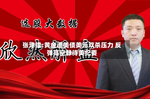 张津镭:黄金遭美债美元双杀压力 反弹高空静待美纪要