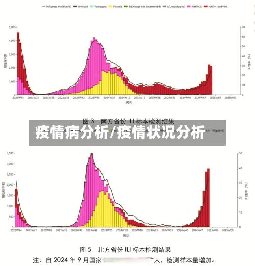疫情病分析/疫情状况分析