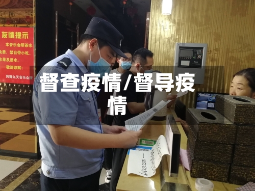 督查疫情/督导疫情