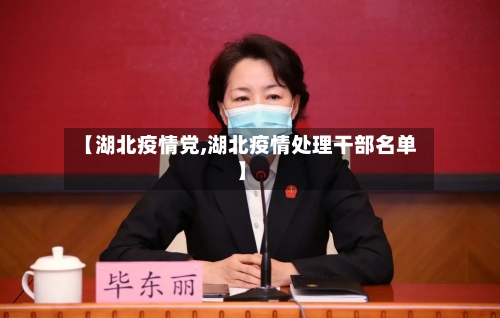 【湖北疫情党,湖北疫情处理干部名单】