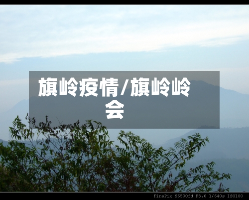 旗岭疫情/旗岭岭会