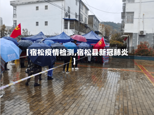 【宿松疫情检测,宿松县新冠肺炎】