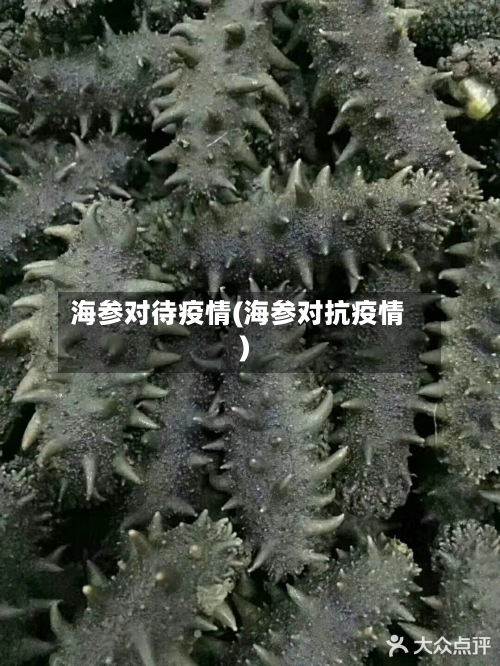 海参对待疫情(海参对抗疫情)