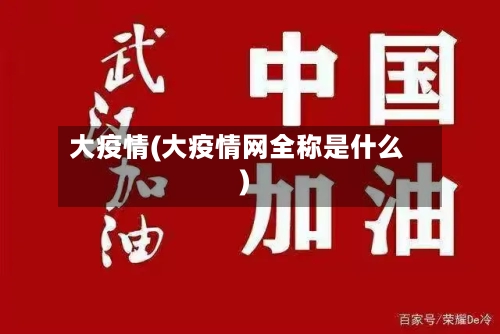 大疫情(大疫情网全称是什么)