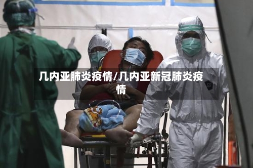 几内亚肺炎疫情/几内亚新冠肺炎疫情