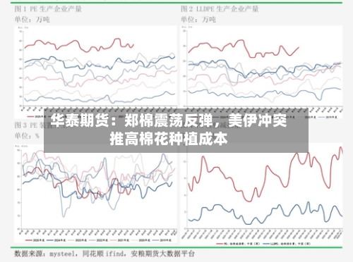 华泰期货：郑棉震荡反弹，美伊冲突推高棉花种植成本