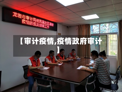 【审计疫情,疫情政府审计】
