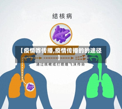 【疫情咋传播,疫情传播的的途径】