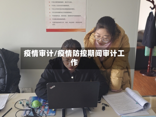 疫情审计/疫情防控期间审计工作