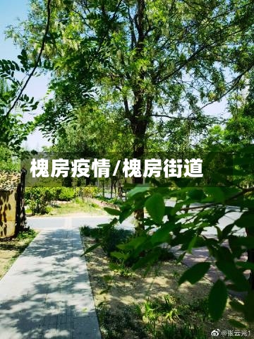 槐房疫情/槐房街道