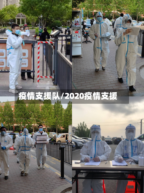 疫情支援队/2020疫情支援