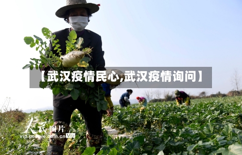 【武汉疫情民心,武汉疫情询问】