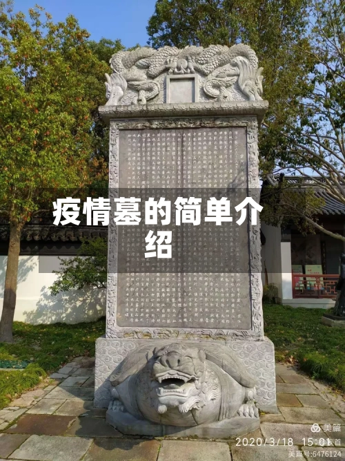 疫情墓的简单介绍