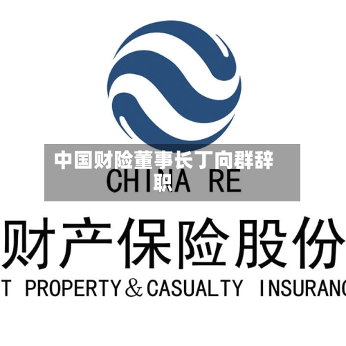 中国财险董事长丁向群辞职