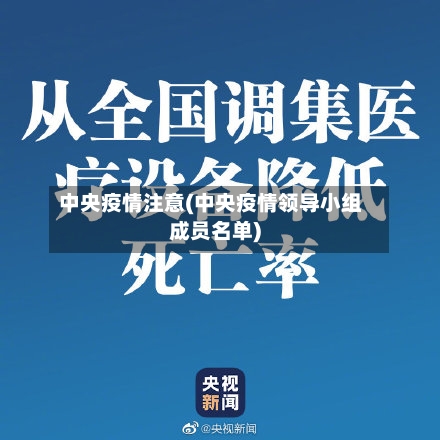 中央疫情注意(中央疫情领导小组成员名单)