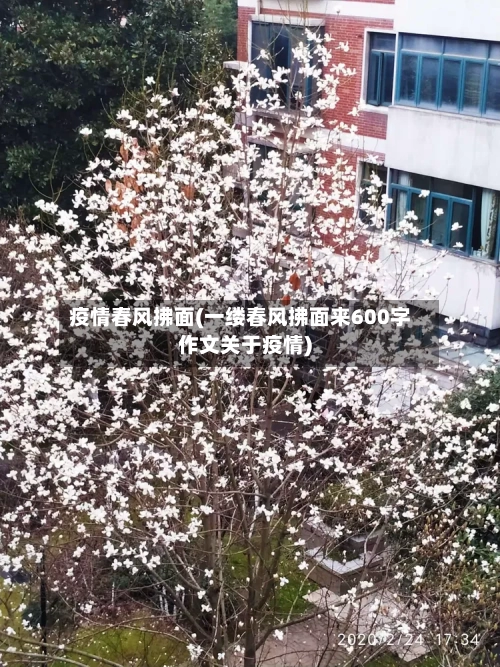 疫情春风拂面(一缕春风拂面来600字作文关于疫情)