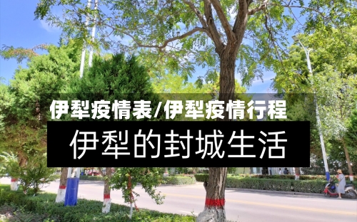 伊犁疫情表/伊犁疫情行程