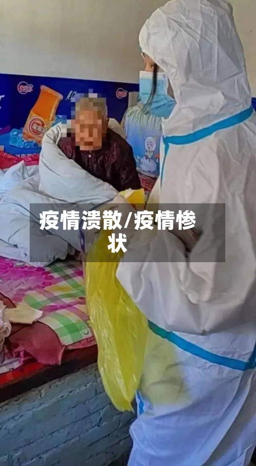 疫情溃散/疫情惨状