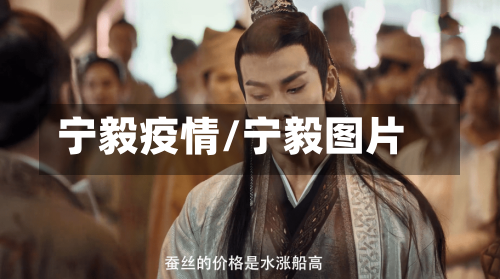 宁毅疫情/宁毅图片
