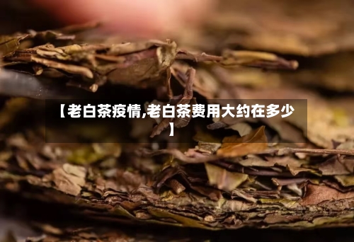 【老白茶疫情,老白茶费用大约在多少】