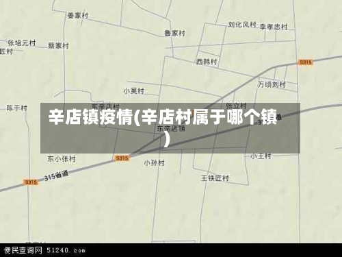 辛店镇疫情(辛店村属于哪个镇)