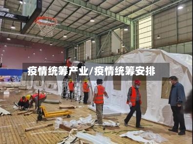 疫情统筹产业/疫情统筹安排
