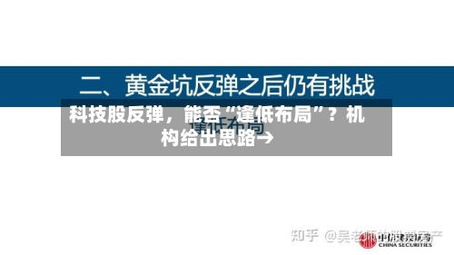 科技股反弹，能否“逢低布局”？机构给出思路→