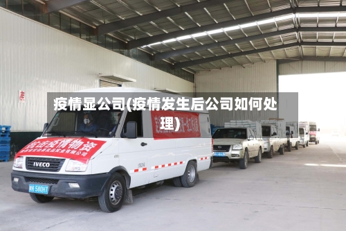 疫情显公司(疫情发生后公司如何处理)
