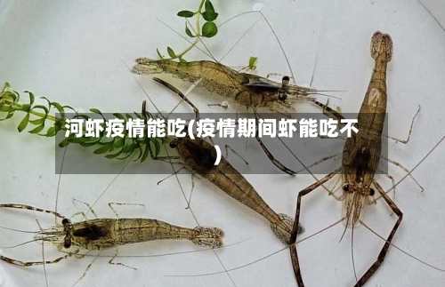 河虾疫情能吃(疫情期间虾能吃不)