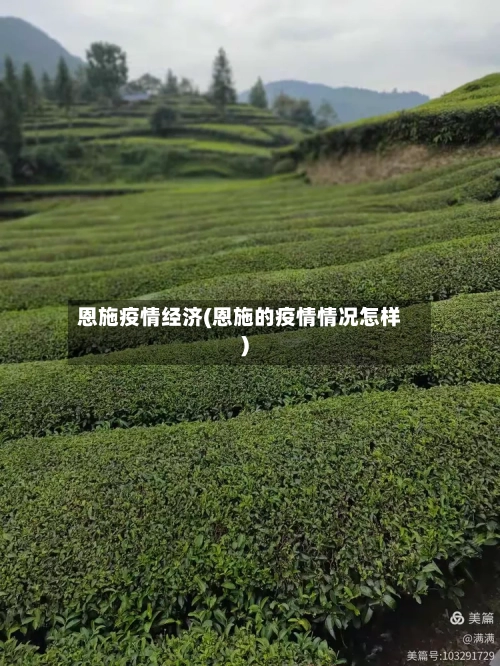 恩施疫情经济(恩施的疫情情况怎样)