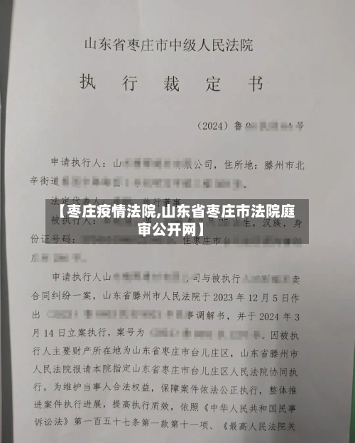【枣庄疫情法院,山东省枣庄市法院庭审公开网】