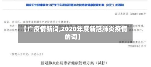 【广疫情新词,2020年度新冠肺炎疫情的词】