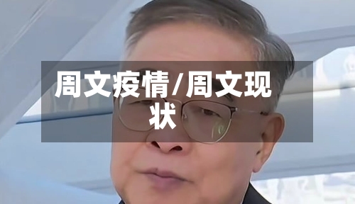 周文疫情/周文现状