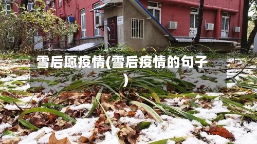 雪后愿疫情(雪后疫情的句子)
