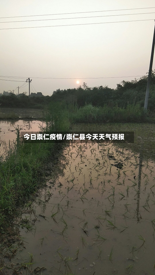 今日崇仁疫情/崇仁县今天天气预报