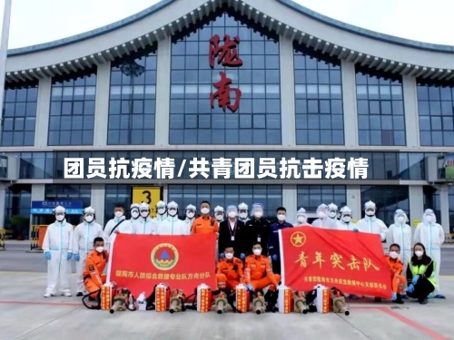 团员抗疫情/共青团员抗击疫情
