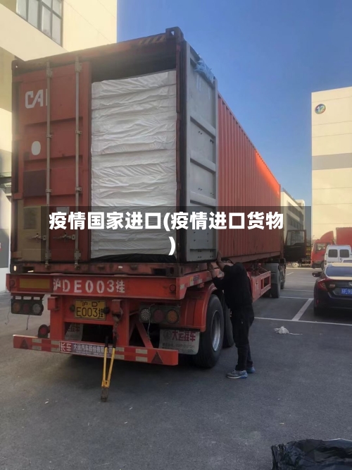 疫情国家进口(疫情进口货物)
