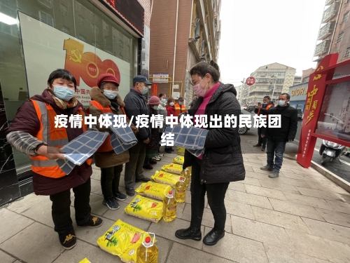 疫情中体现/疫情中体现出的民族团结