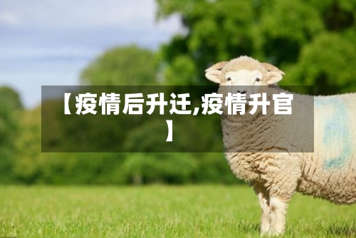【疫情后升迁,疫情升官】