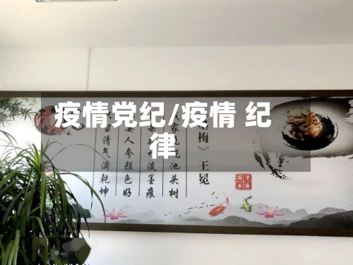 疫情党纪/疫情 纪律